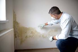 Best Air Quality Testing for Mold Spores in USA